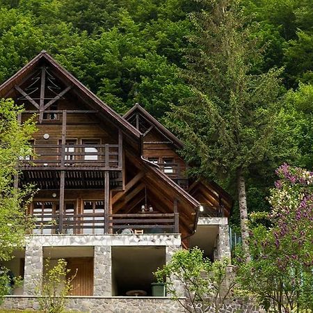 Florile Bucegilor Villa Sinaia Bagian luar foto