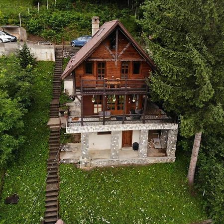 Florile Bucegilor Villa Sinaia Bagian luar foto