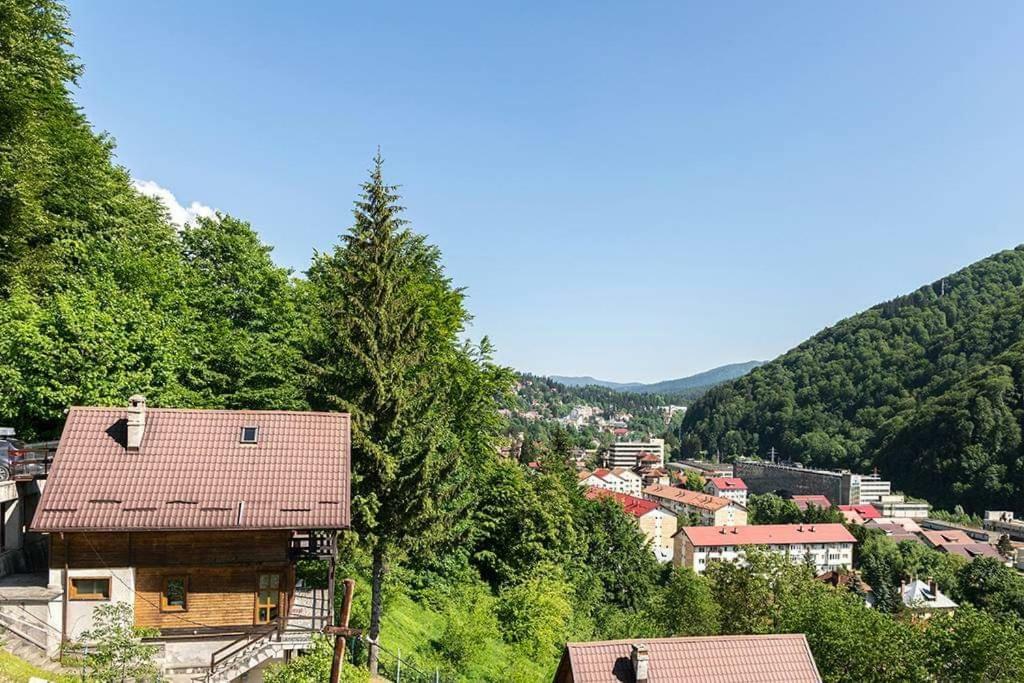 Florile Bucegilor Villa Sinaia Bagian luar foto