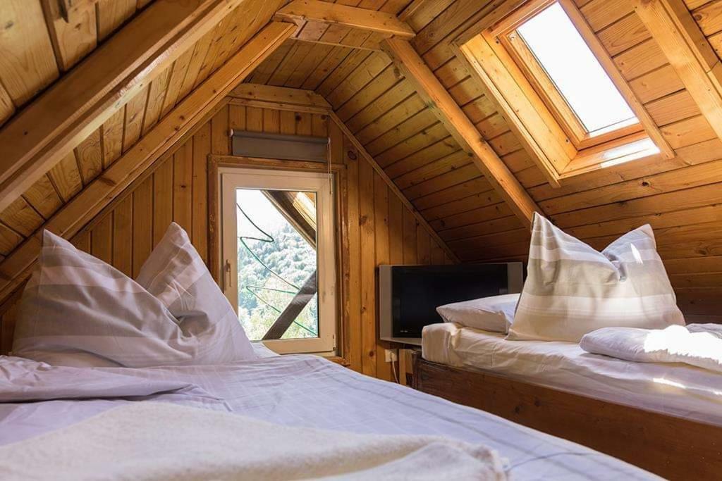 Florile Bucegilor Villa Sinaia Bagian luar foto