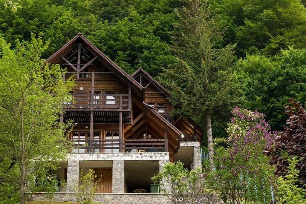 Florile Bucegilor Villa Sinaia Bagian luar foto