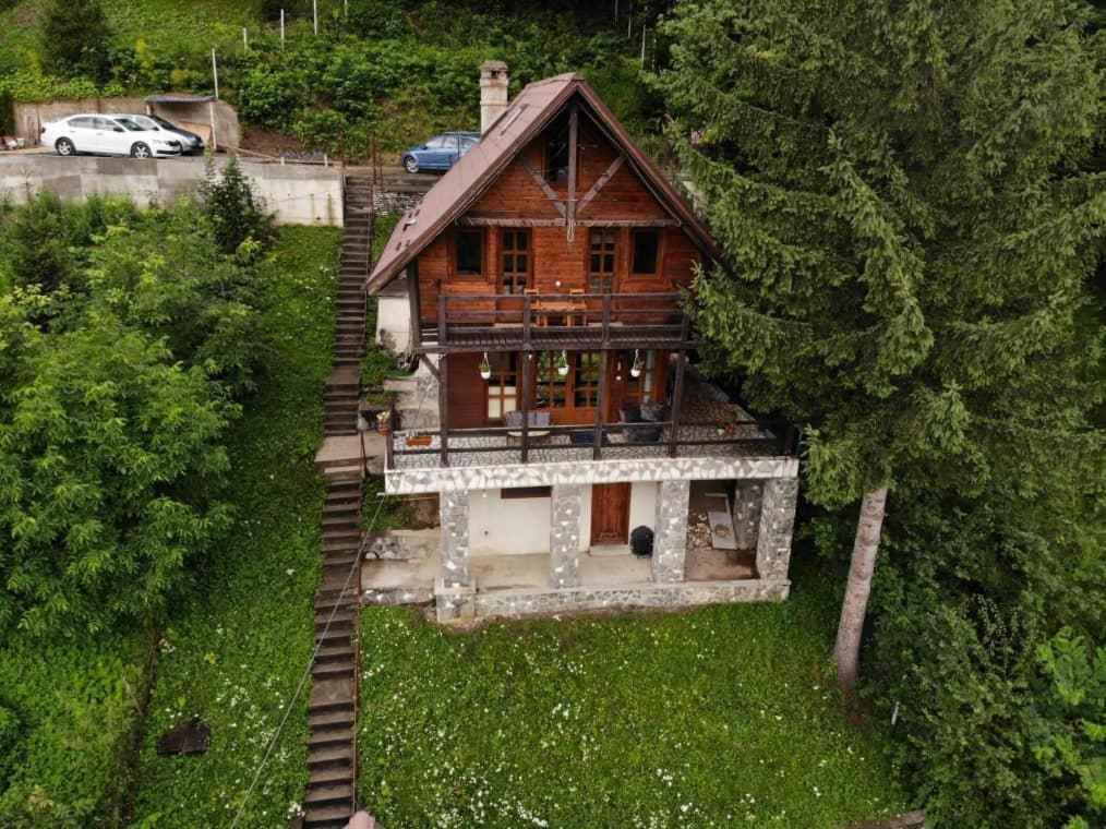 Florile Bucegilor Villa Sinaia Bagian luar foto