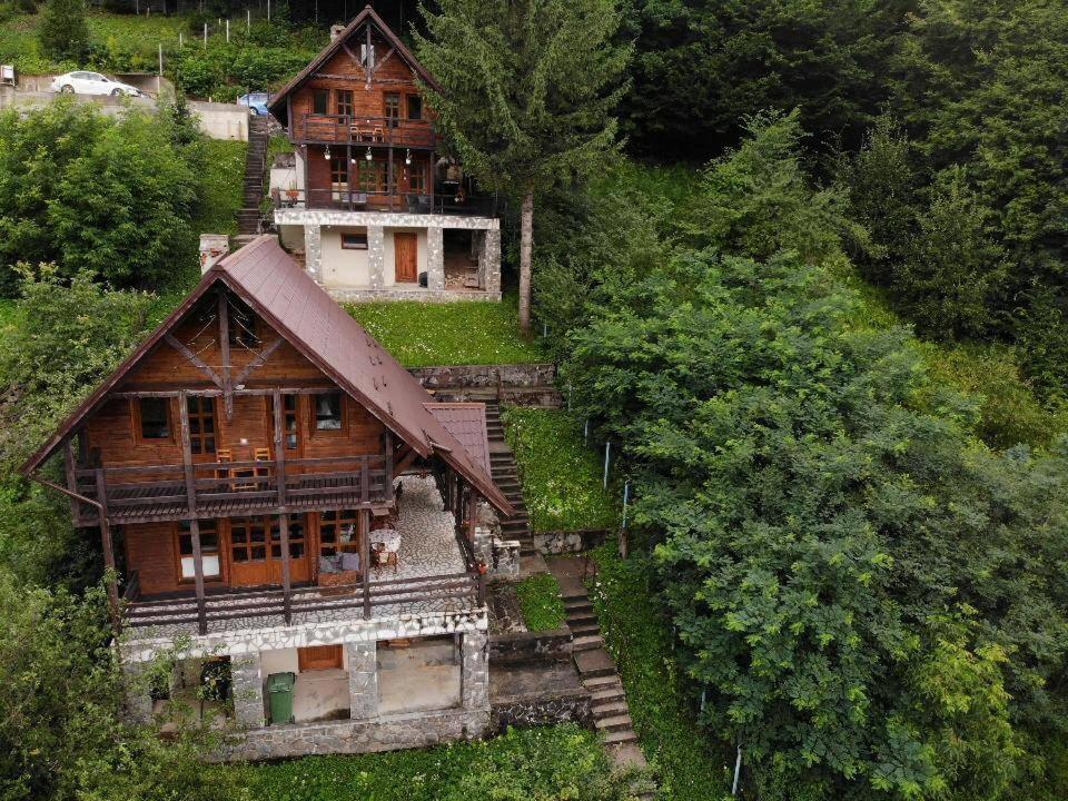 Florile Bucegilor Villa Sinaia Bagian luar foto